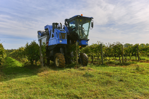 Monitoring the environment grape harvester
